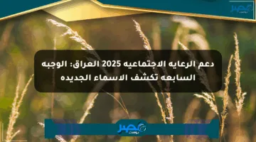 دعم الرعاية الاجتماعية 2025 العراق: الوجبة السابعة تكشف الأسماء الجديدة